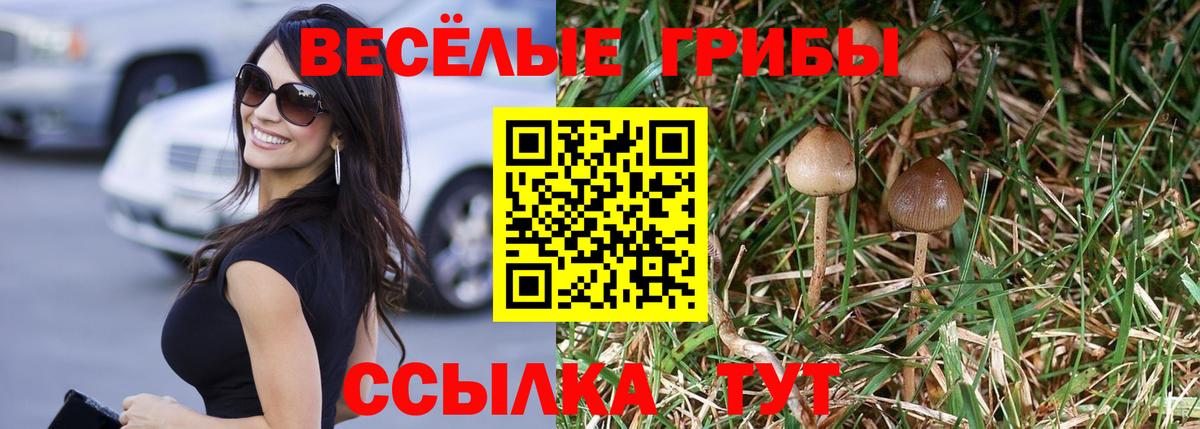 Псилоцибиновые грибы GOLDEN TEACHER Усинск